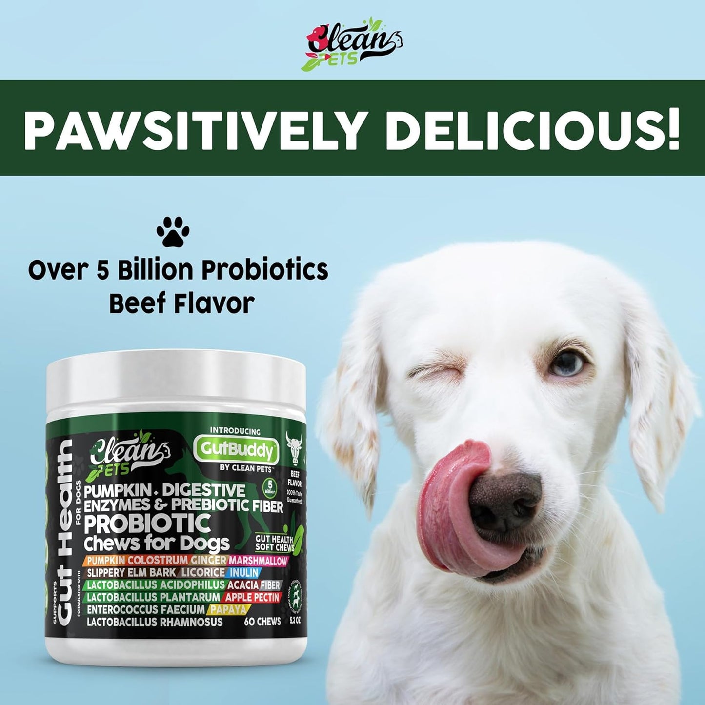 GutBuddy: Probiotic Chews