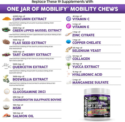 Mobilify: Hip & joint chews