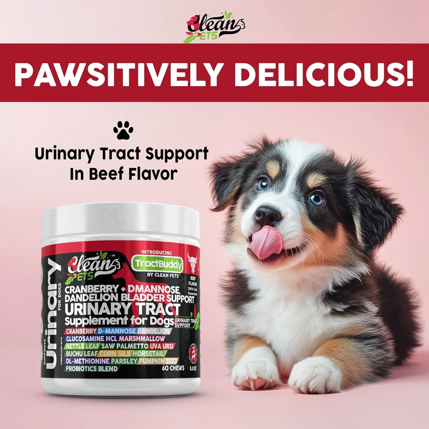 TractBuddy: Urinary chews