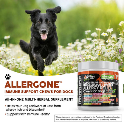 AllerGone: Allergy immune chews