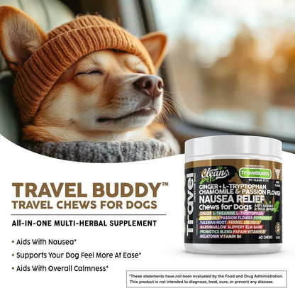 Travel Buddy: Travel chews